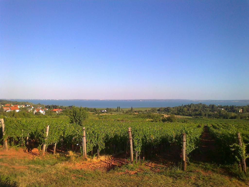 Country House Balaton Paloznak Buitenkant foto