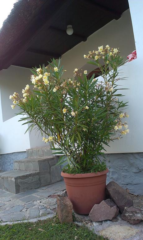 Country House Balaton Paloznak Buitenkant foto