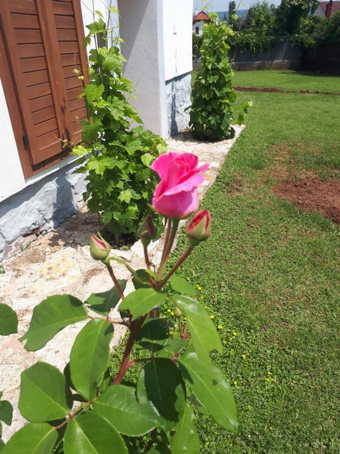 Country House Balaton Paloznak Buitenkant foto